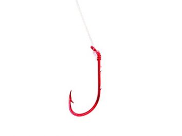 Porta Carnada Eagle Claw 139ge-10  Qty6