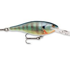 Carnada Rapala Sr07bg Shad Rap